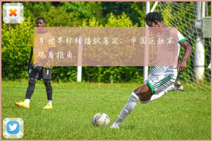 年世界杯转播权落定:中国区独家观看指南