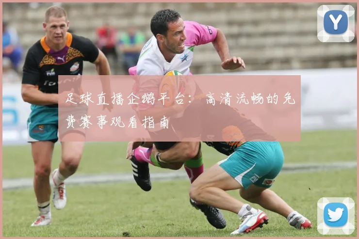 足球直播企鹅平台:高清流畅的免费赛事观看指南
